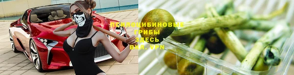 а пвп мука Аркадак