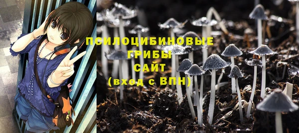 mix Арсеньев