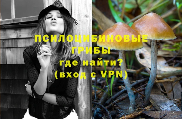 Альфа ПВП Армянск