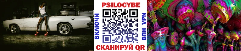 Галлюциногенные грибы прущие грибы даркнет наркотические препараты Бабаево мега маркетплейс